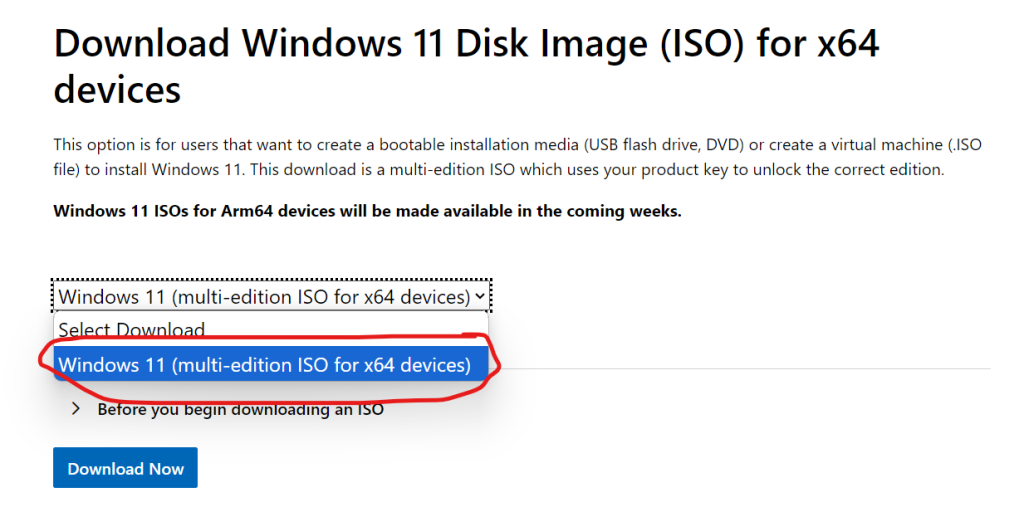 Download Windows 11 iso file