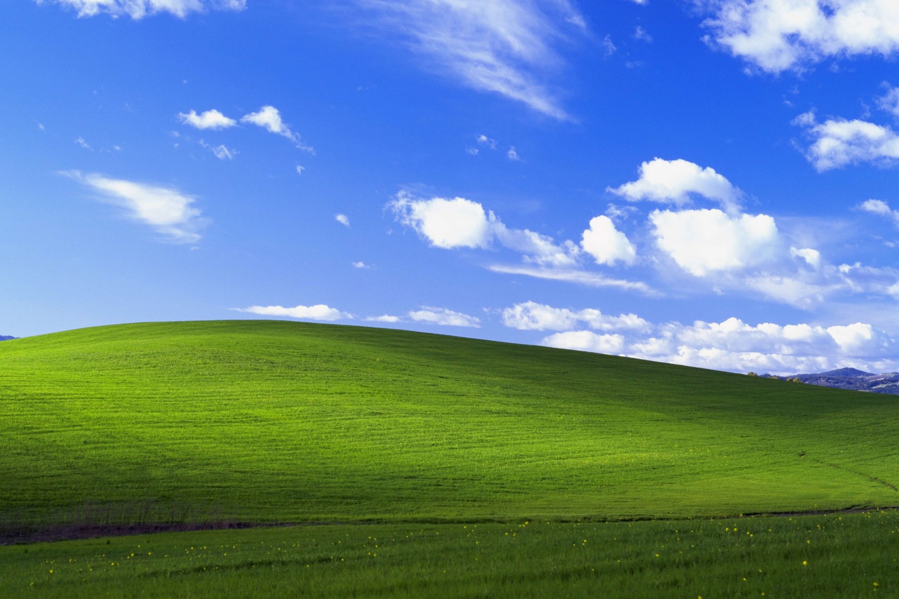 Windows XP wallpaper